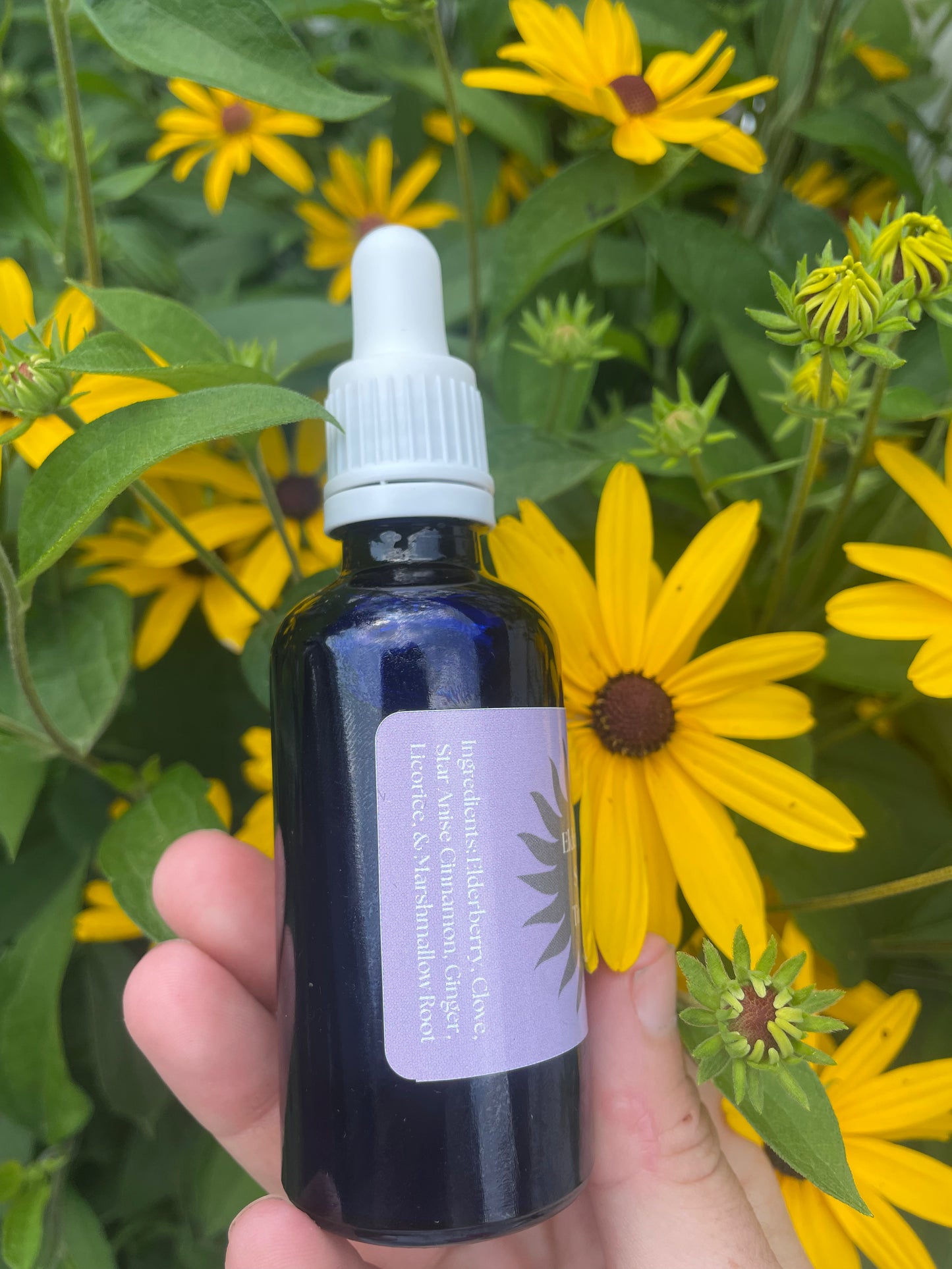 Elderberry Syrup Tincture